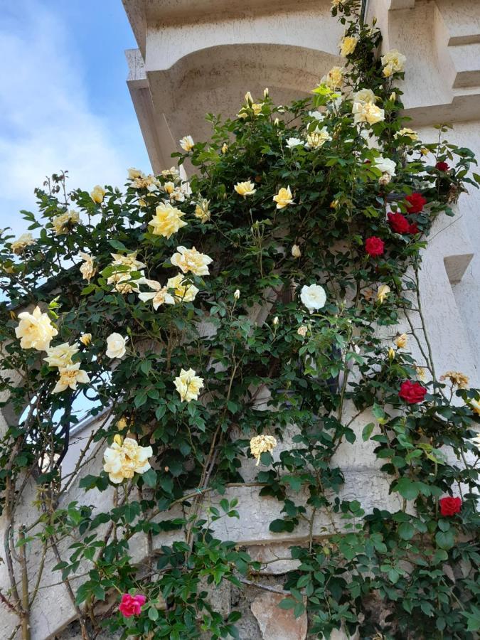 Bressa De Ma Affittacamere, Room & Breakfast Pietra Ligure Εξωτερικό φωτογραφία
